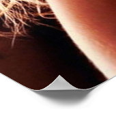 Hot Taylor Momsen Poster (Hoek)