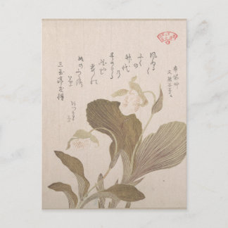 Hotei Flowers - Kubo Shunman (Japans) Briefkaart
