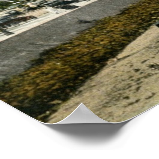 Hotel Galvez, Galveston, Texas 1924  Poster (Hoek)