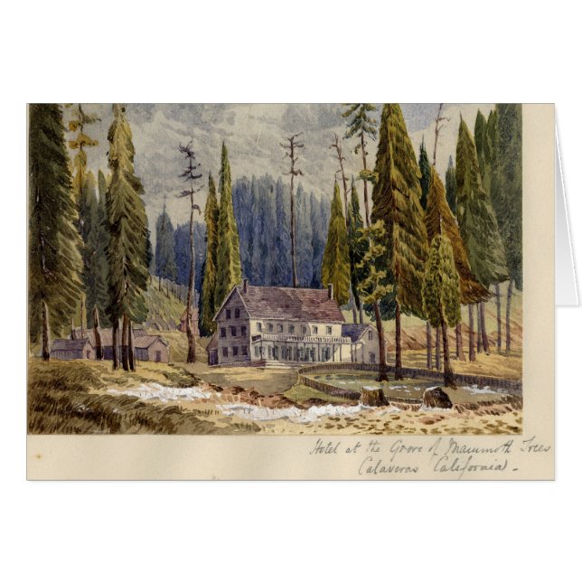 Hotel in de Grove of Mamoth Trees (Voorkant Horizontaal)