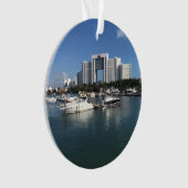 Hotel Riu Palace Cancun, Mexique Ornement (devant)