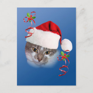 Hotels in de buurt van Santa Hat Briefkaart