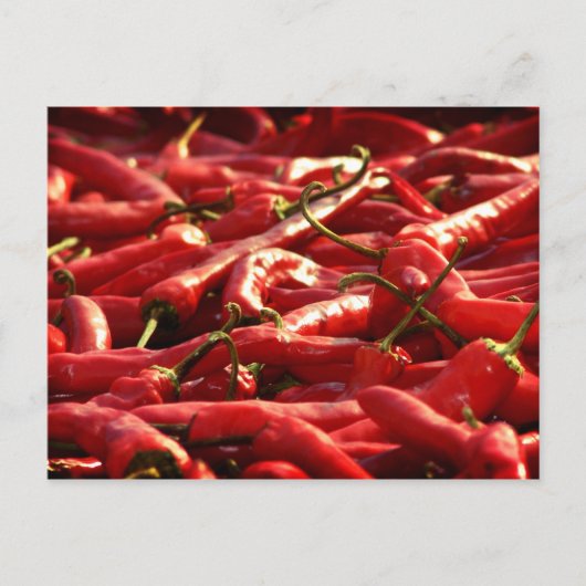 Hotness - Red Hot Chillies Briefkaart (Voorkant)