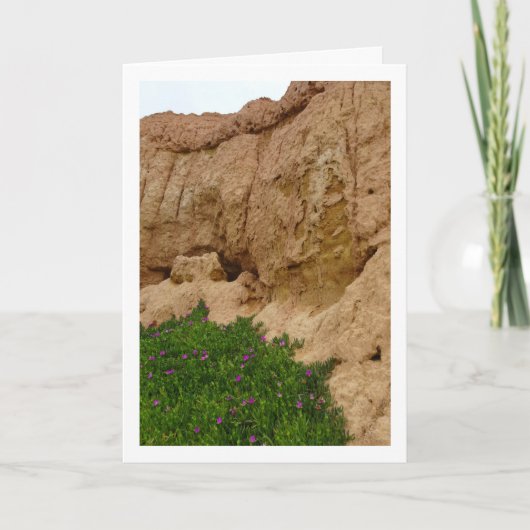 Hottentot Fig, Ice Plant in Canyon Kaart (Voorkant)