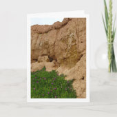 Hottentot Fig, Plante de glace sur carte Canyon (Devant)