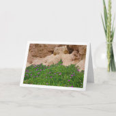 Hottentot Fig, Plante de glace sur carte Canyon (Devant)