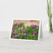 Hottentot Fig, Plante de glace sur carte Canyon (Devant)