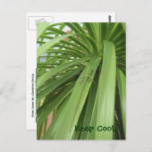 Hou Cool... Briefkaart (Voorkant / Achterkant)