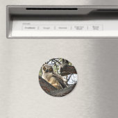 Hou je van mijn ogen? -Magneet Magneet (Insitu (Vaatwasser))