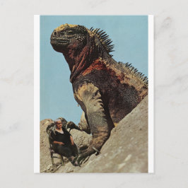 Hou je vast - briefkaart