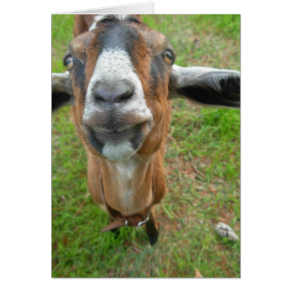 Hou mijn gat vast! Mariah the Goat card