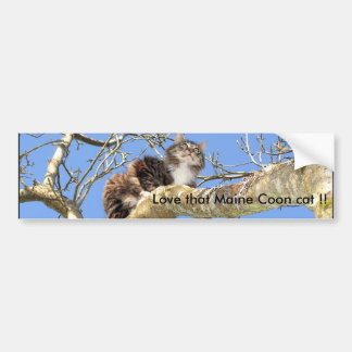 Hou van die Maine Coon kat! Bumpersticker