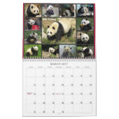 Hou van die Pandas! 2011 Kalender (Mar 2027)