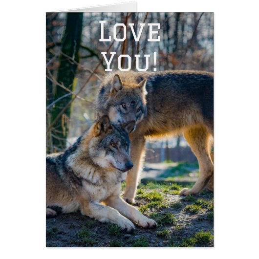 Hou van je (Voorkant)