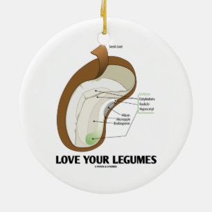Hou van je benen (Bean Dicotyledon) Keramisch Ornament