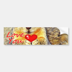 Hou van je_ bumpersticker