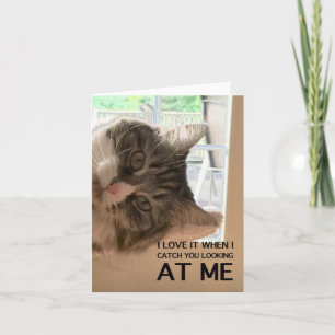 Hou van je Cattitude Note Kaart