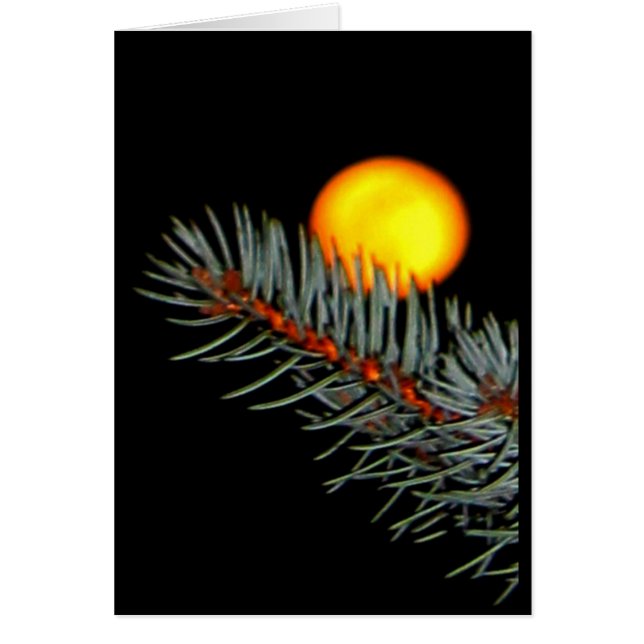 Hou van je naar de maan en terug! (Voorkant)