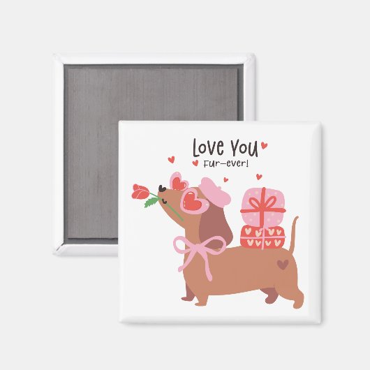 Hou van je vier-ooit Schattigee Franse teckel hond Magneet (Voorkant / Achterkant)