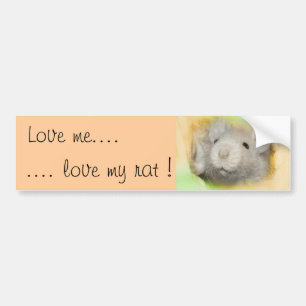 Hou van me... hou van mijn rat bumpersticker