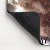 HOU VAN MIJN SHIH-POO! MUISMAT (Hoek)