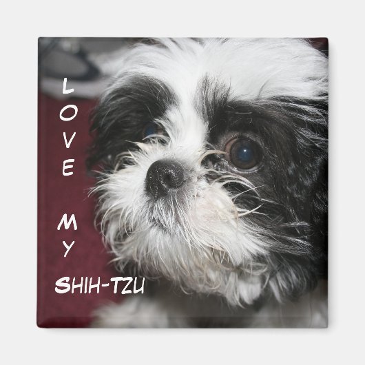 Hou van mijn Shih-Tzu Magneet (Voorkant)