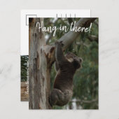 Hou vol. Australia Koala Cute Briefkaart (Voorkant / Achterkant)