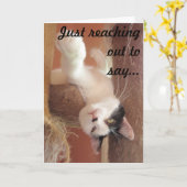 Hou vol! Cat Wenskaart Kaart (Gele Bloem)