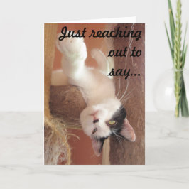 Hou vol! Cat Wenskaart Kaart