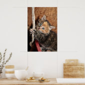 Hou vol, Kat. Poster (Keuken)