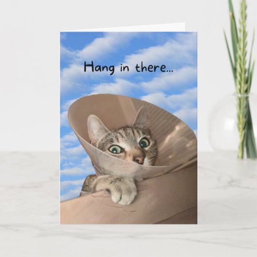 Hou vol met een kat in Cone Funny. Kaart (Voorkant)