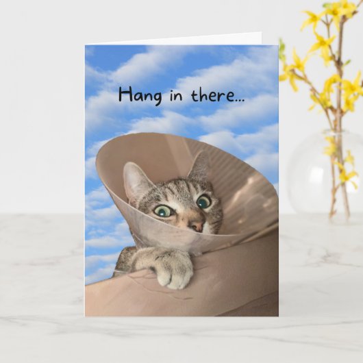 Hou vol met een kat in Cone Funny. Kaart (Gele Bloem)