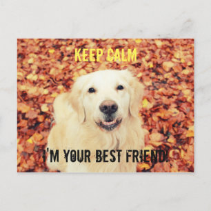 HOUD CALM Briefkaart voor honden