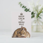 Houd Calm en Degu-pool Briefkaart (Staand voorkant)