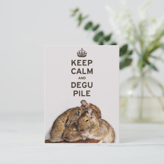 Houd Calm en Degu-pool Briefkaart (Staand voorkant)