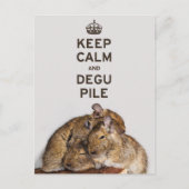 Houd Calm en Degu-pool Briefkaart (Voorkant)