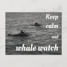 Houd kalm en walvis Briefkaart in de gaten