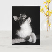 Houd met op dromend geen Kaart (Gele Bloem)