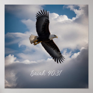 Houd of Creëer je eigen Poster