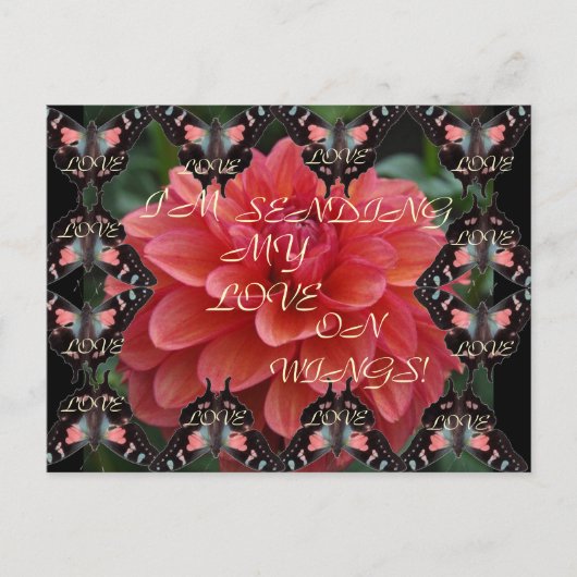 HOUD OP WINGEN! Briefkaart (Voorkant)