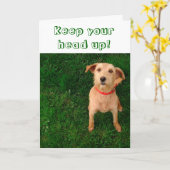 Houd Uw Hoofd op Kaart (Gele Bloem)