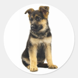 Houd van Duitse Herders Puppy Honden Stickers