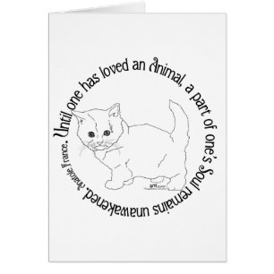 Houd van een kat