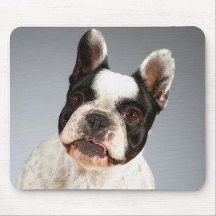 Houd van Franse Bulldog Puppy Hond Muismat