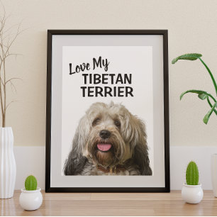 Houd van mijn Tibetaanse Terrier-portret Perfect Poster