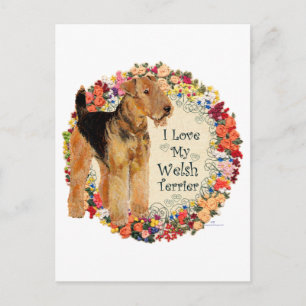 Houd van mijn Welsh Terrier Briefkaart