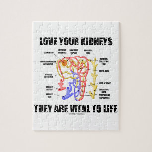 Houd van Uw Nieren zij voor het Leven (Nephron) Legpuzzel