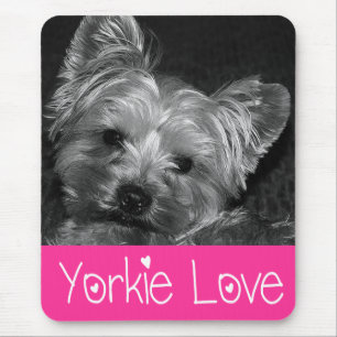 Houd van Yorkshire Terrier Puppy Muismat