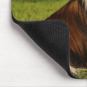 Houdbaarheid met Pet Muismat (Hoek)