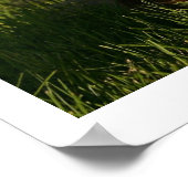 Houdbaarheid met Pet Poster (Hoek)